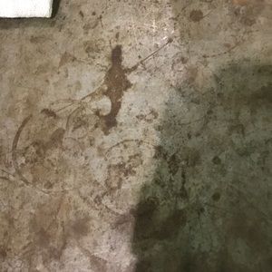 Meet your Posher, Alexander